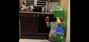 loyd Mayweather 1 year grandson showing his Boxing skills