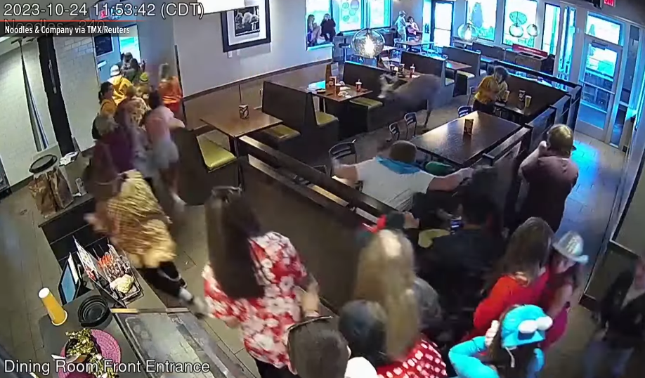 Deer Surprises Guest at a Wisconsin restaurant during Lunch hour video